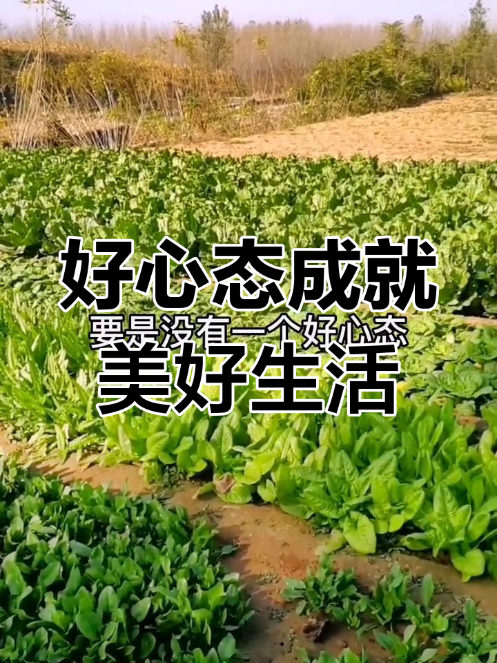 关于蒙特雷球员心理辅导加强，保持良好比赛心态的信息